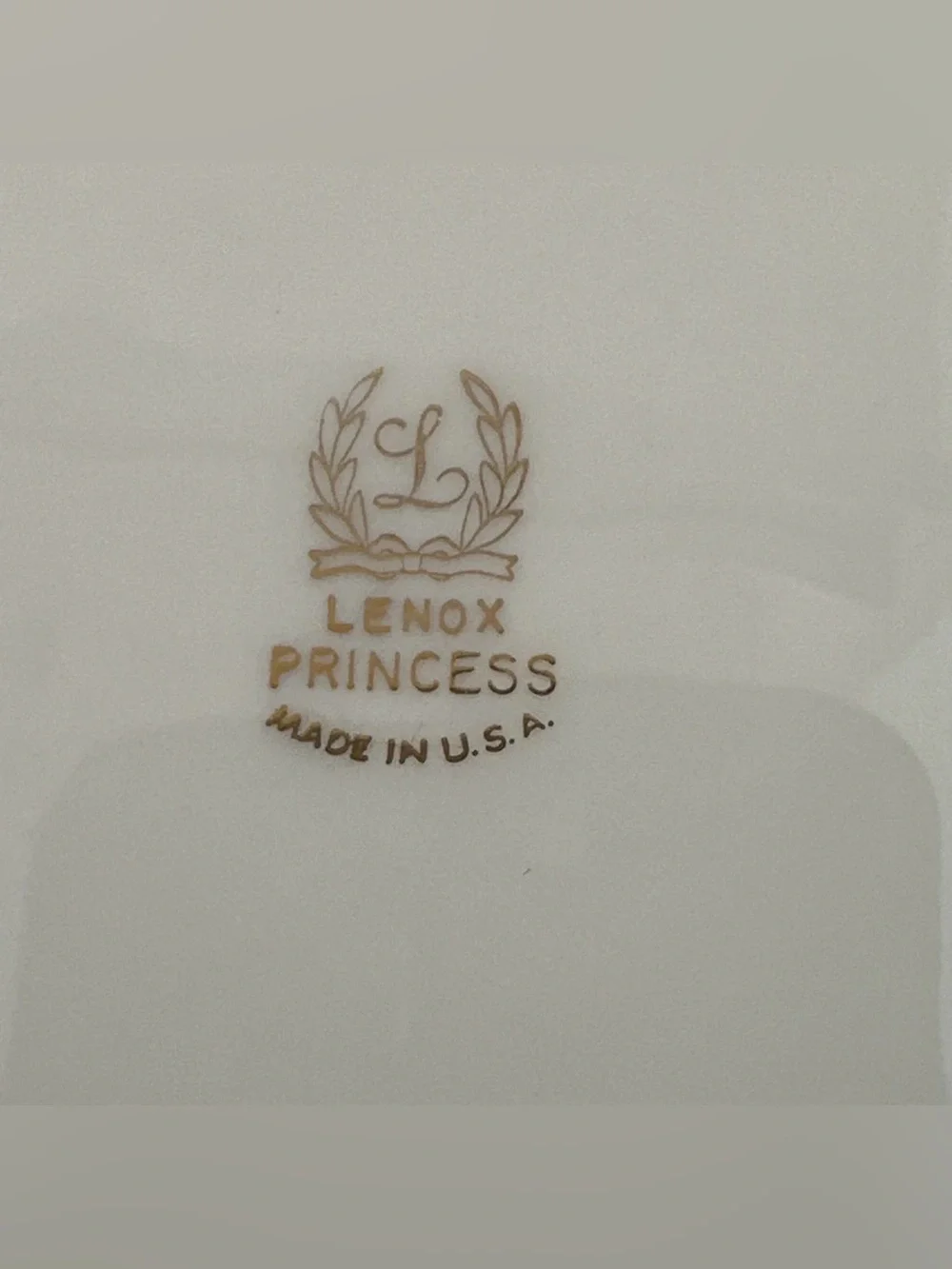Lenox Princess Dinner Plates PAIR Hand Enameled Platinum Trim Thanksgiving Fall